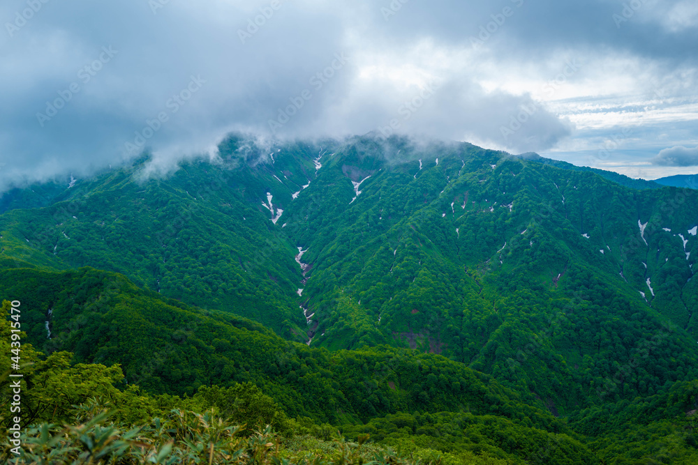 雨飾山 登山道の風景 雨飾山 登山道の風景