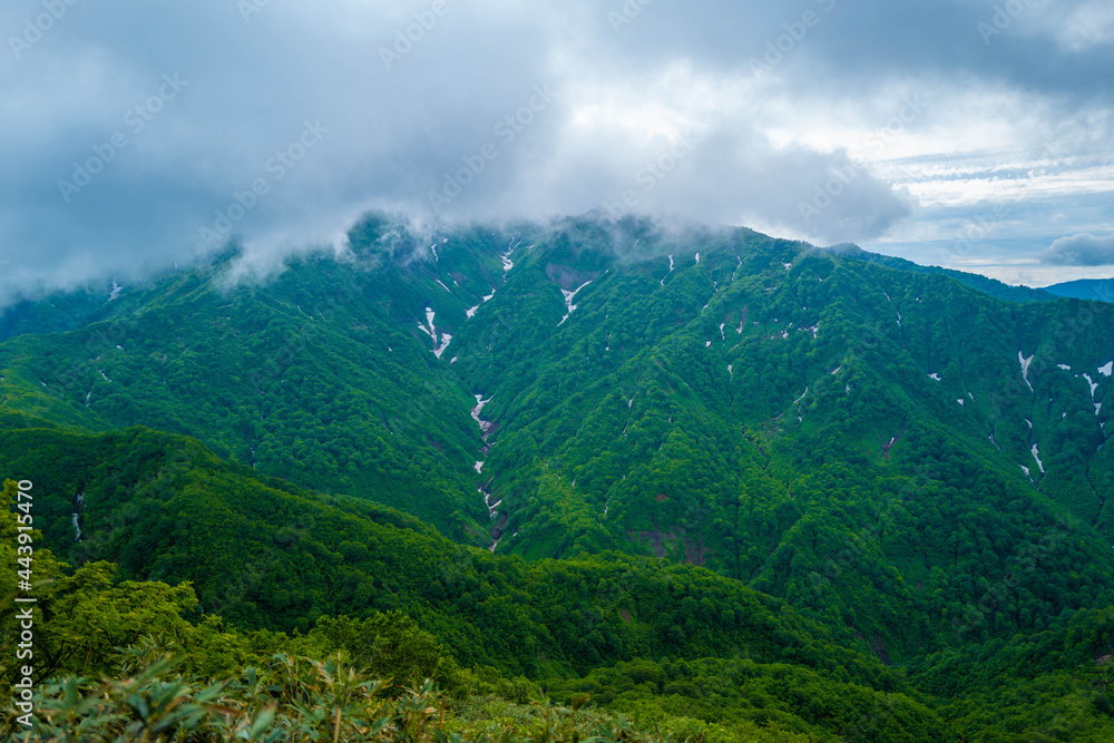 雨飾山 登山道の風景