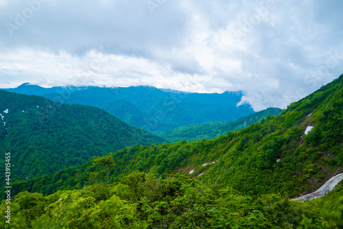Fototapeta Naklejka Na Ścianę i Meble -  雨飾山 登山道の風景