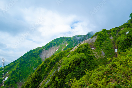 雨飾山 登山道の風景