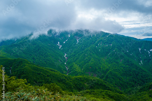 雨飾山 登山道の風景