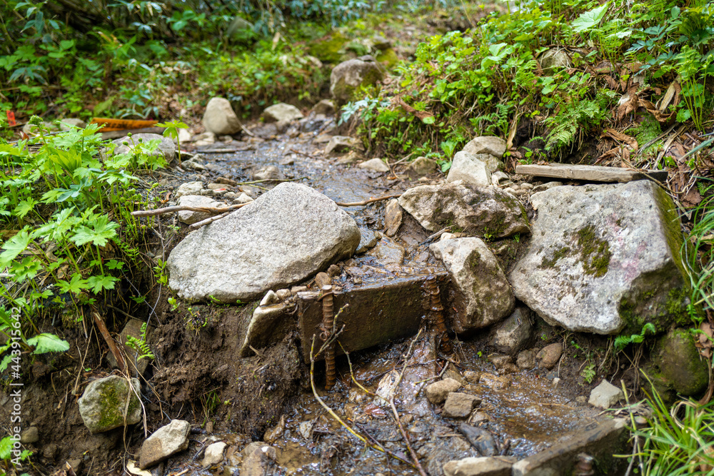 Obraz premium 雨飾山 登山道
