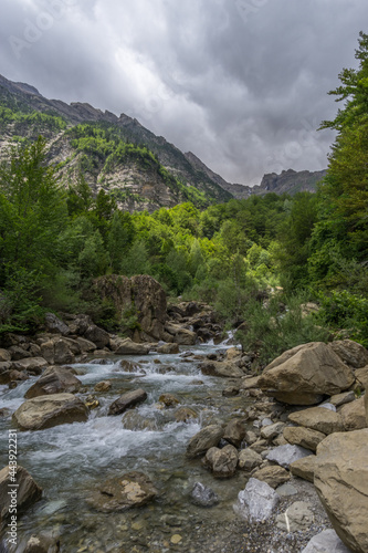 Rocky wild mountain river Rio Cinca with surrounding forest on cloudy summer day in Pyrenees, Spain