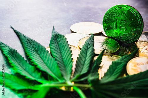 Golden coins with crypto currency symbol and cannabis leaves.