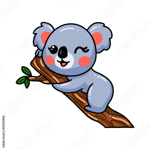 Cute baby koala cartoon on tree branch