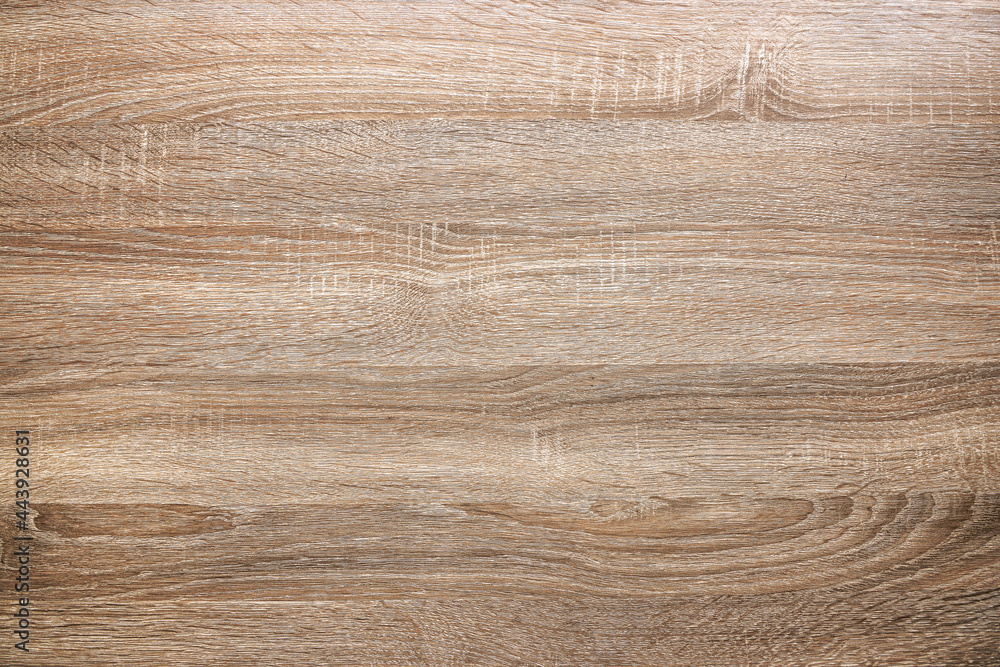 Fototapeta premium Nature wood textured wallpaper background