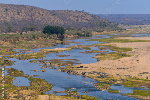 Hippos, waterbucks and birds on the riverine landscape of the Olifants river, central Kruger National Park, South Africa photo