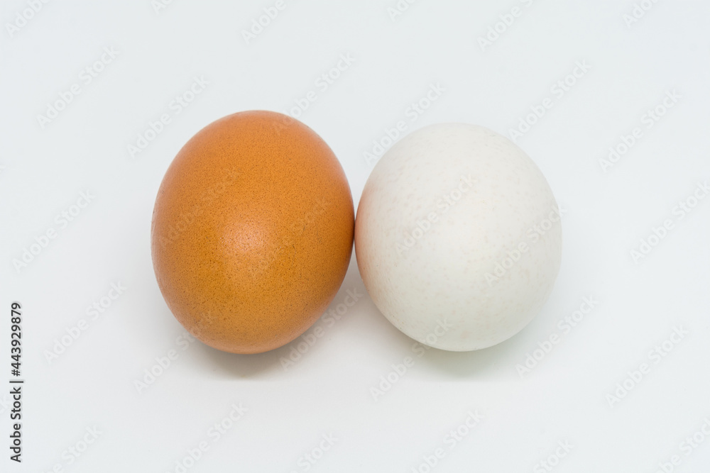 Two eggs of different color, one brown and one white, isolated on a white background. Two eggs of different color, one brown and one white, isolated on a white background.