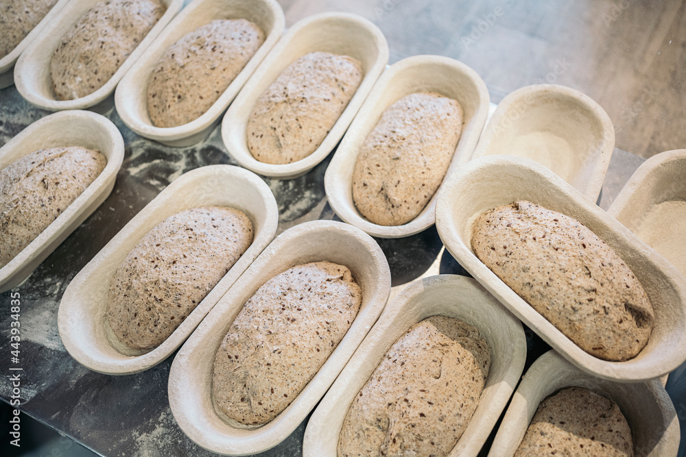Fresh Bread Dough in Molds Fresh Bread Dough in Molds