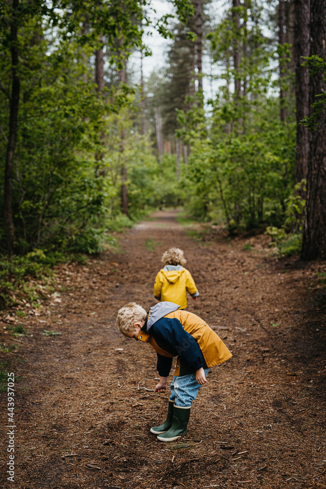Siblings in the forest together Siblings in the forest together