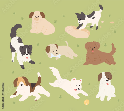 Cute dogs of different breeds are playing on the lawn. flat design style minimal vector illustration.