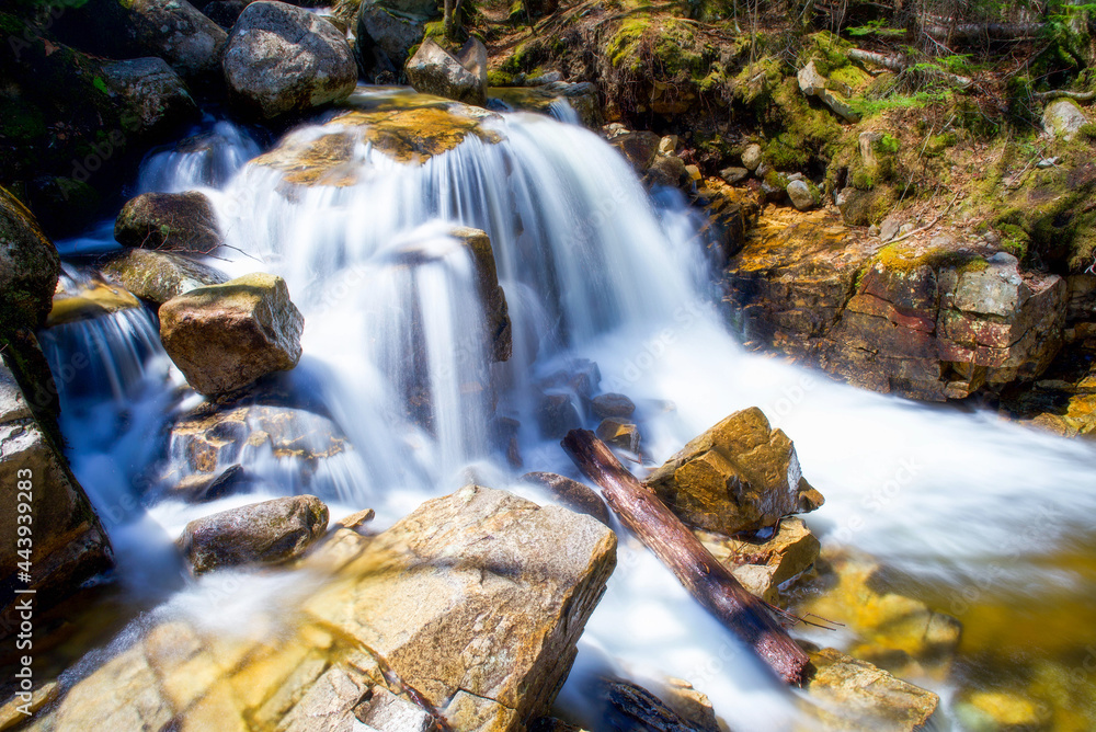 Fototapeta premium waterfall in the mountains