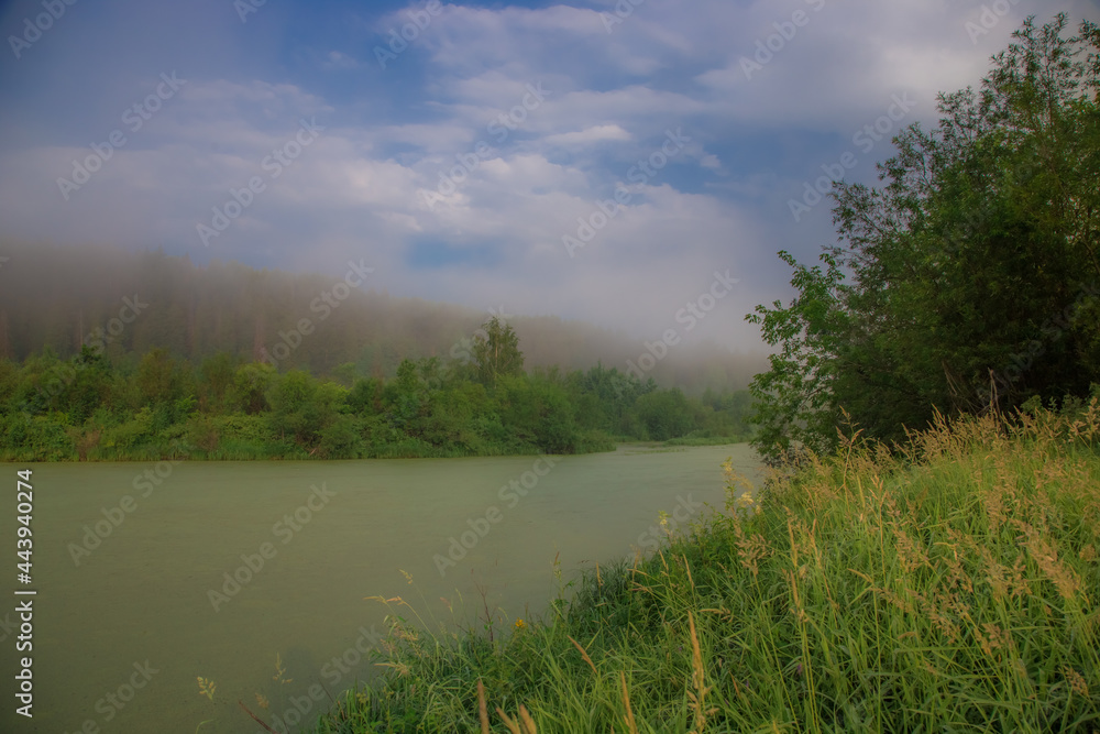light fog rises over a blooming lake on a cool summer morning light fog rises over a blooming lake on a cool summer morning