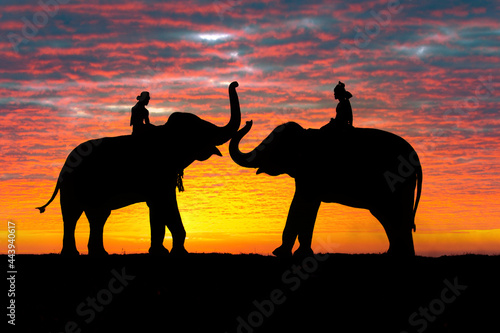 Photography Silhouettes of people and elephants are the way of life of the Surin Thai people