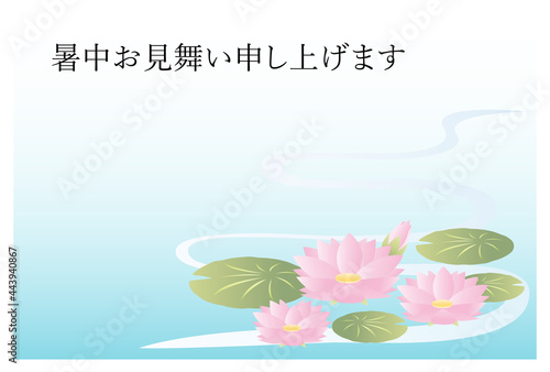暑中見舞いのはがき　睡蓮の花