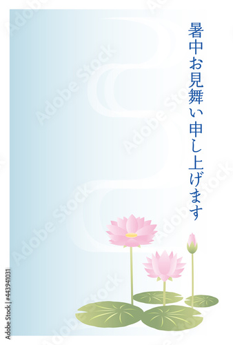 暑中見舞いのはがき　睡蓮の花