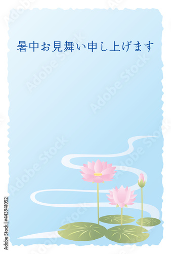 暑中見舞いのはがき　睡蓮の花