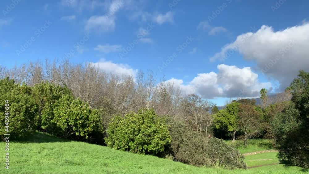 Side green bushy valley slope flowing into green grassy valley with cars passing by Side green bushy valley slope flowing into green grassy valley with cars passing by