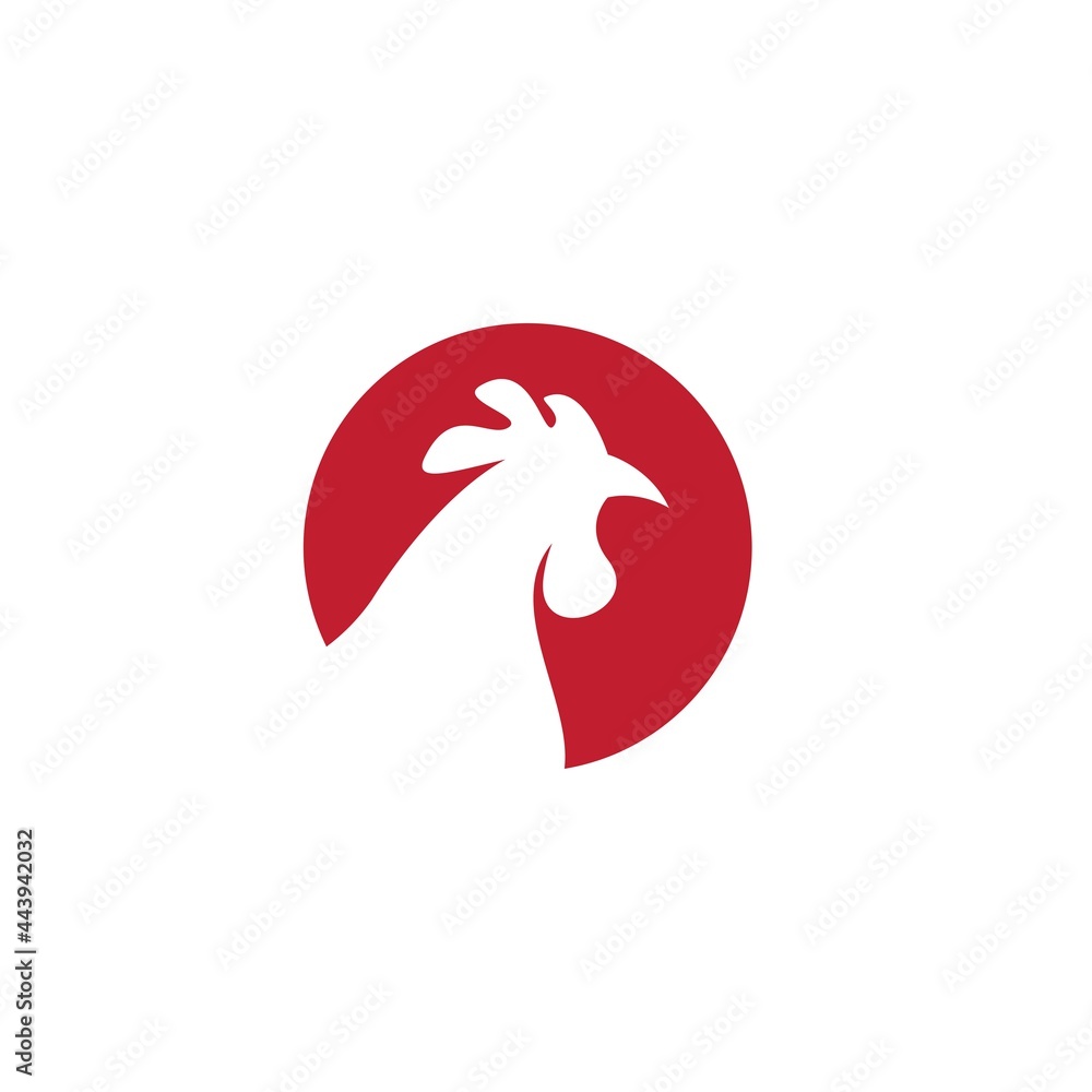 Rooster illustration Rooster illustration