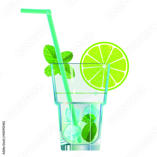 mojito cocktail. vector illustration isolated on white background