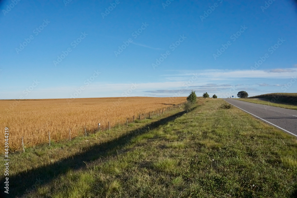 Carretera en pueblo rural. ruta 