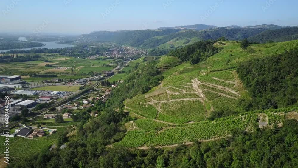 Aerial view of Rhone Valley Vineyard with suburban village area and hill range Aerial view of Rhone Valley Vineyard with suburban village area and hill range