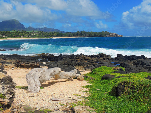  shipwreck beach. waves, and driftwood on a sunny day   in poipu, kauai, hawaii, with makawehi point in the background    photo