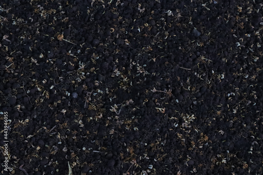 Peat soil texture. Peat soil texture.