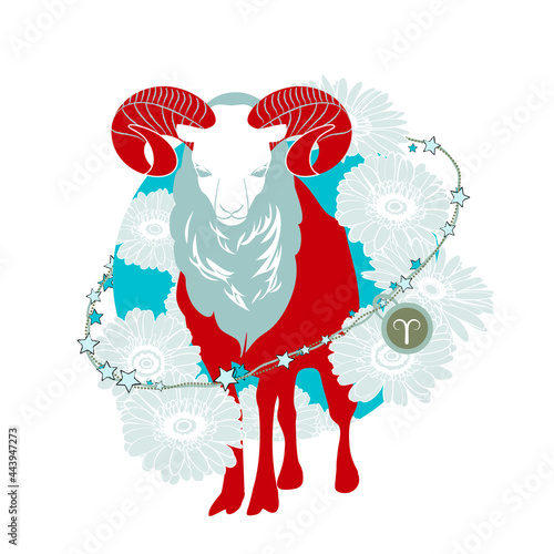 Constellation of the zodiac signs
Aries