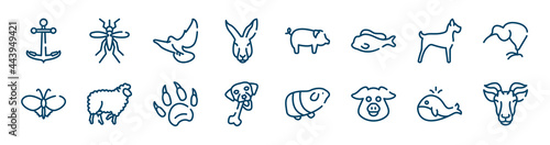 fauna icons set such as big mosquito, kangaroo head, big dog, plain butterfly, animal paw print, big whale outline vector signs. symbol, logo illustration. linear style icons set. pixel perfect