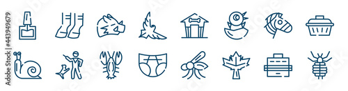 insects icons set such as hoof, eagle, zebra, snail, lobster, pet carrier outline vector signs. symbol, logo illustration. linear style icons set. pixel perfect vector graphics.
