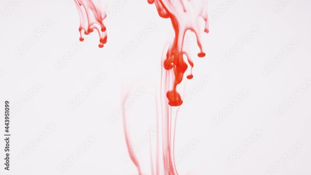 Bloody water on a bright background. Blood drops slowly sink in the water. Red food coloring is mixed with water. Bloody water on a bright background. Blood drops slowly sink in the water. Red food coloring is mixed with water.