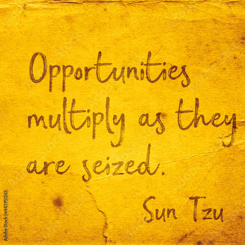 Opportunities multiply SunTzuSQ
