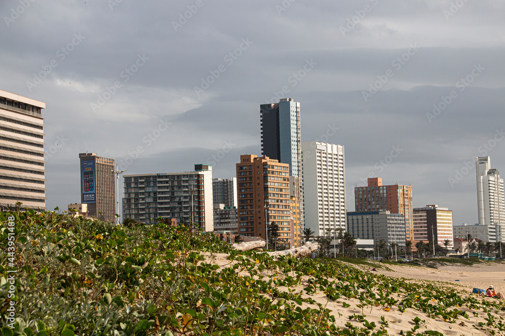 Naklejka premium Dune Rehabilition at Durban with Beachfront Buildings in Background