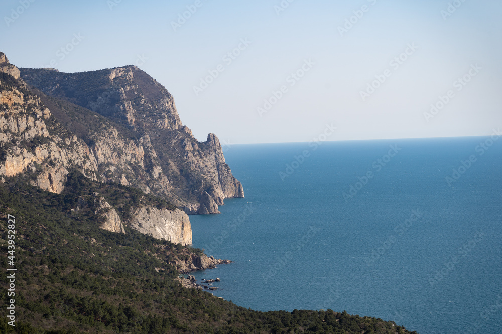 Mountain sea coast. Ocean aerial view. Trees grow on the shores of the endless blue sea. Rest abroad, tourism.
