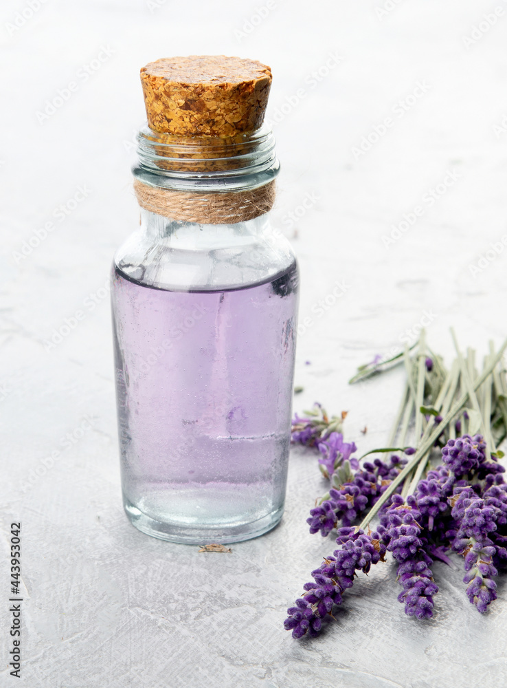 Bottle of essential oil and lavender flowers on light gray background. Bottle of essential oil and lavender flowers on light gray background.
