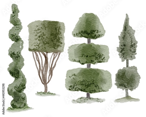 Fototapeta Watercolor hand drawing topiary cutting green trees and bushes