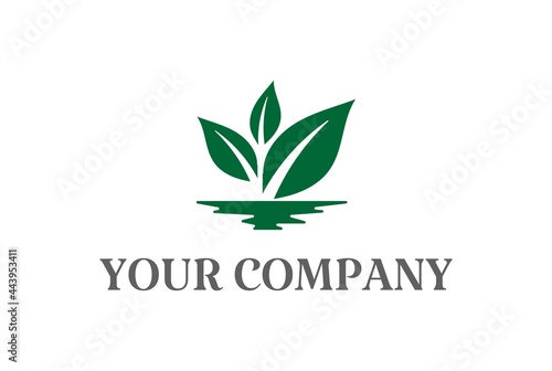 Simple Minimalist Plant Leaf for Nature Garden Environment Logo Design Vector