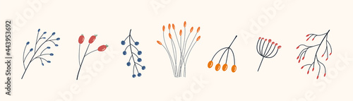 Set of different branches with red, orange and blue berries. Wild forest plants. Collection of botanical design elements in abstract style for decorative seasonal composition. Flat vector illustration