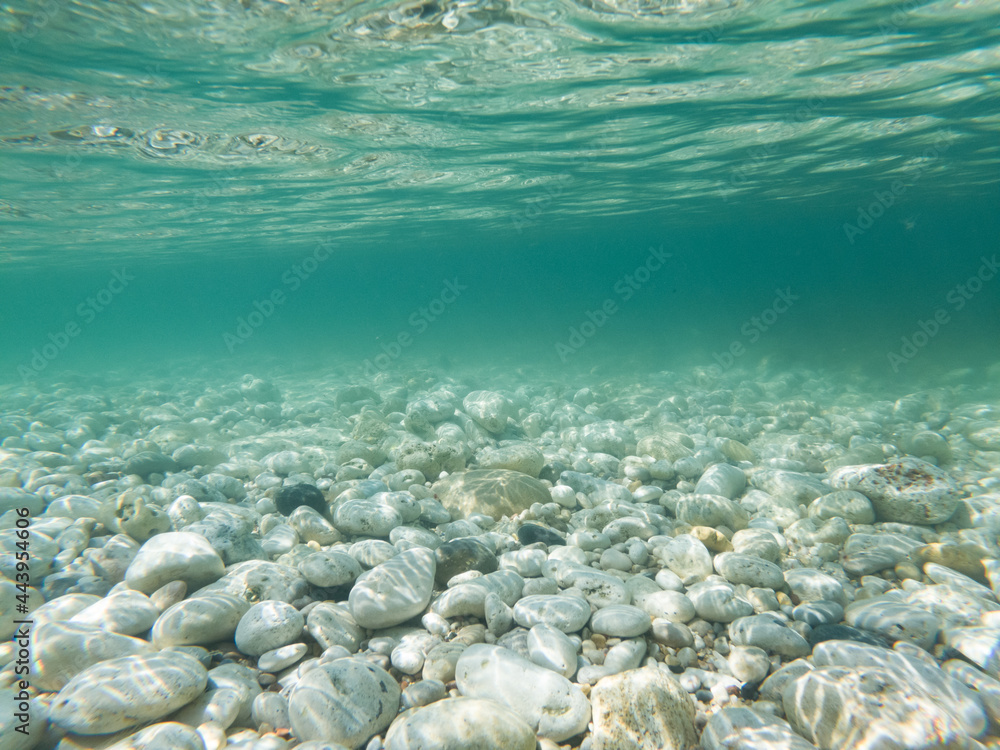 Stone bottom of the sea. Pebble shore. Underwater world. Shooting  underwater. foto de Stock | Adobe Stock