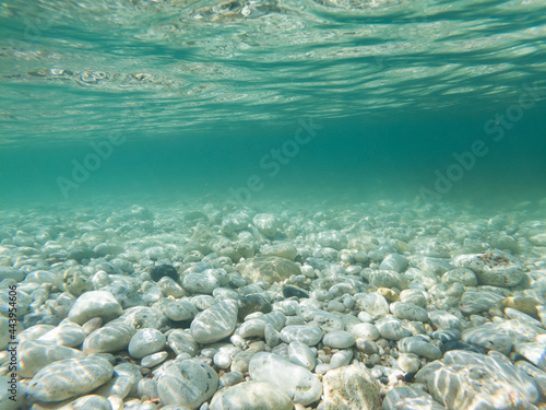 Stone bottom of the sea. Pebble shore. Underwater world. Shooting underwater.
