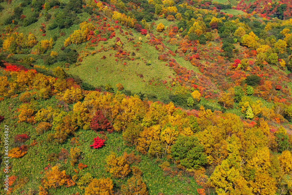 那須ロープウェイの中から見た色鮮やかな那須岳の紅葉
【Autumn leaves of Mt. Nasu taken in the sky】 那須ロープウェイの中から見た色鮮やかな那須岳の紅葉
【Autumn leaves of Mt. Nasu taken in the sky】