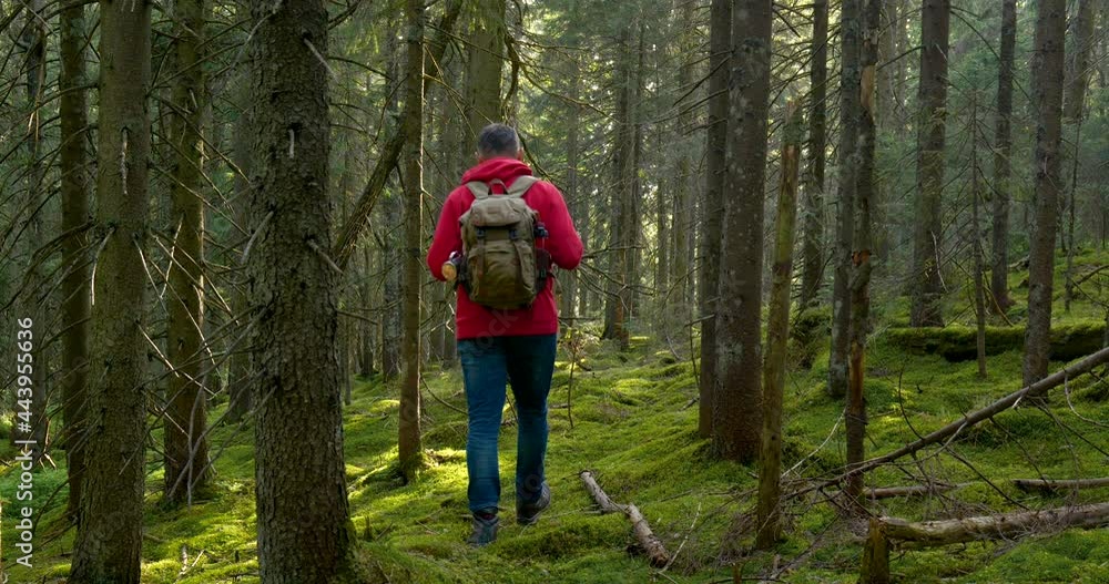 Tourist guy with backpack hiking on an adventure trip in natural landscape Tourist guy with backpack hiking on an adventure trip in natural landscape