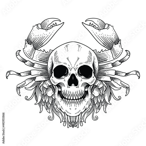 tattoo and t shirt design skull with crab line art vintage style isolated 