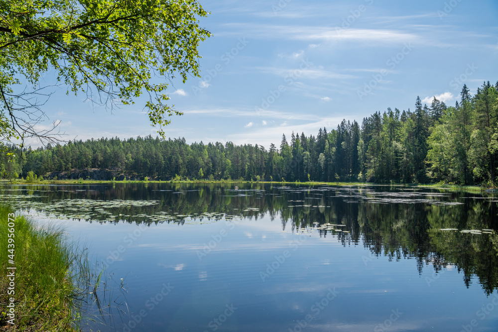 View of The Mustalampi Pond in summer, Nuuksio National Park, Espoo, Finland