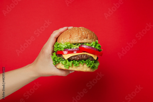 Concept of tasty food with burger on red background © Atlas