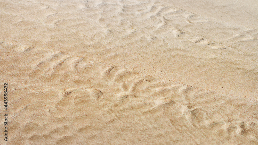 Texture of soft wet sand on tropical beach summer. Texture of soft wet sand on tropical beach summer.