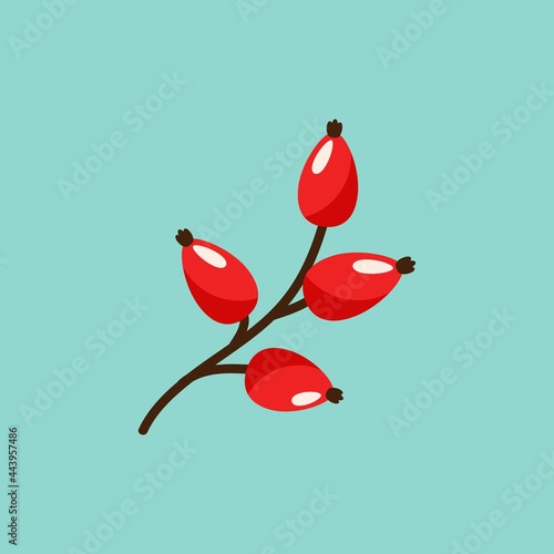 wild rose red berries icon on turquoise background. Winter and autumn vector with twigs.