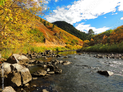 Tranquil scene next to the south platte river in fall in  waterton canyon, littleton, colorado   