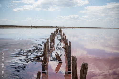 Wooden frame from the salt mining industry. Pink salty lake.